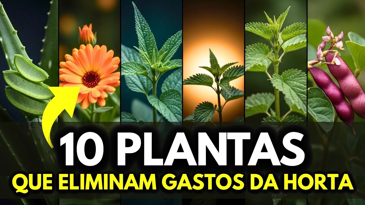 10 Plantas QUE ELIMINAM Gastos da Horta de Forma Secreta Mais Poderosa que Métodos Comuns