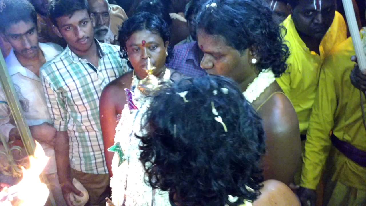 Malur hasi karaga 2016