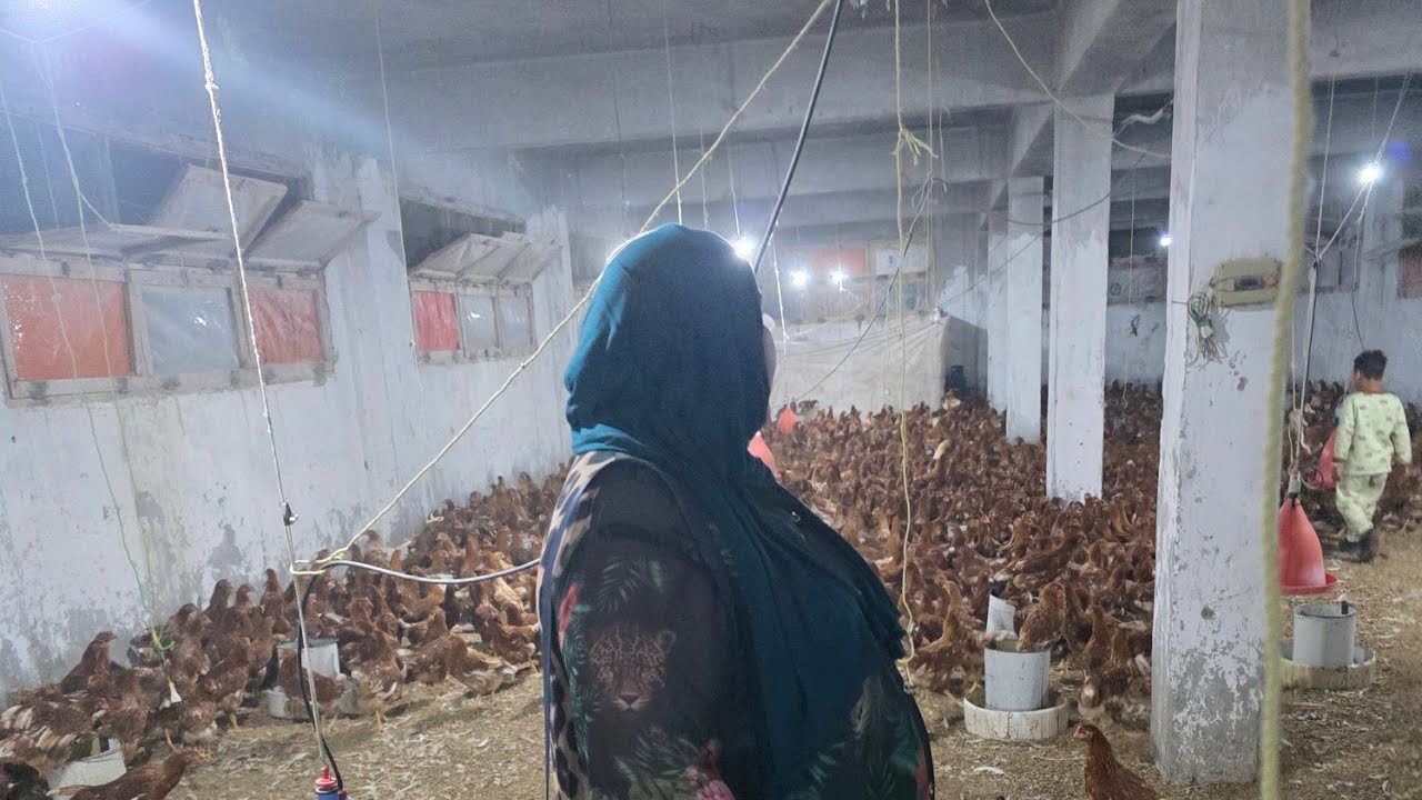 مشروع من بيتك  وارباحه  مضمونة ١٠٠% بدون تعب