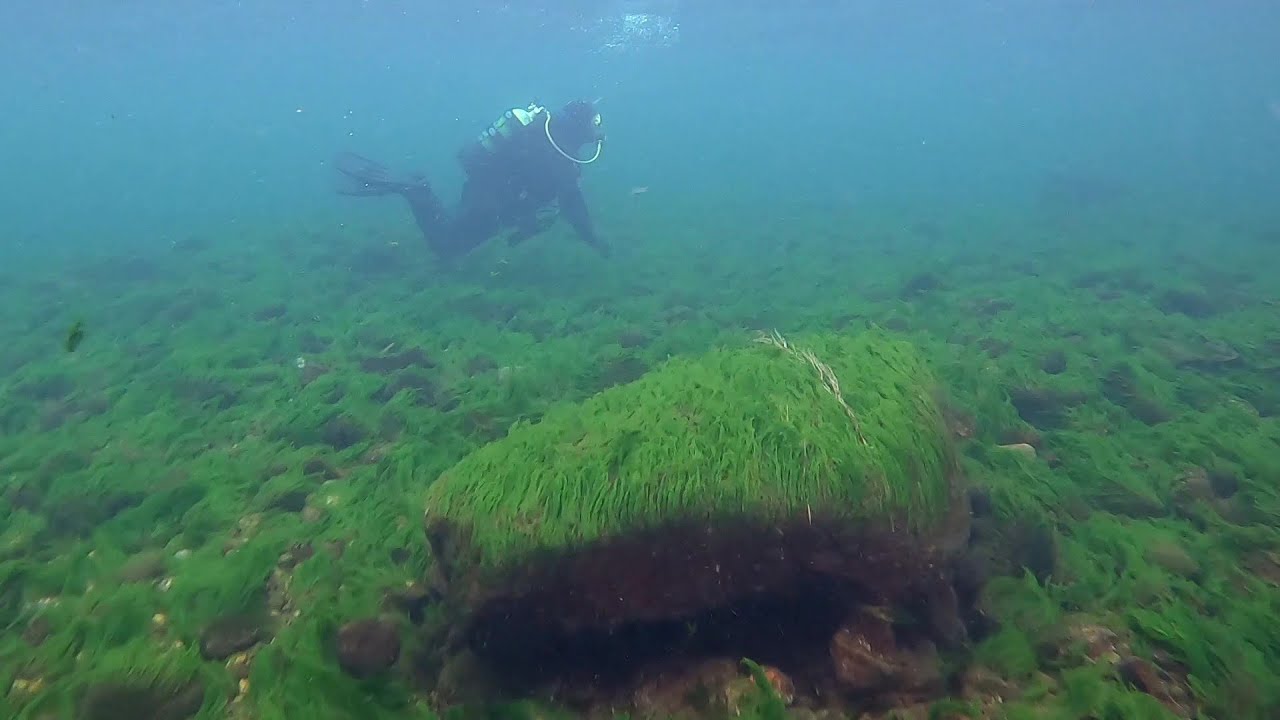 Big 5 - Rhein tauchen vom Badi Hemishofen zum Gasthof Schupfen bei Diessenhofen am 23.02.2020