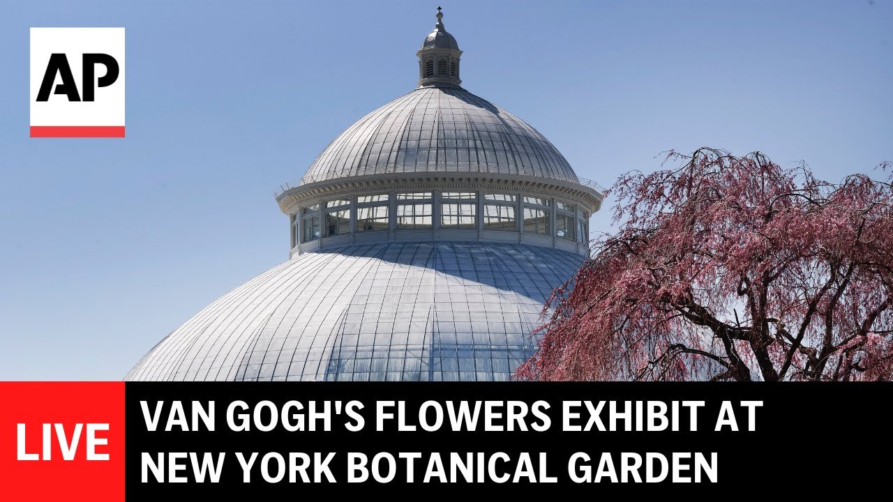 LIVE: Van Gogh's Flowers exhibit at New York Botanical Garden