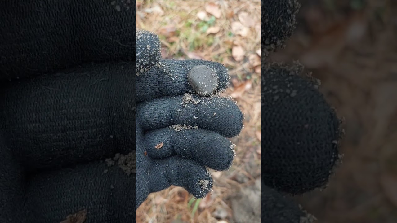 FOUND IN THE FOREST TAKI STRZAŁ Z TAKIEGO DOŁKA 