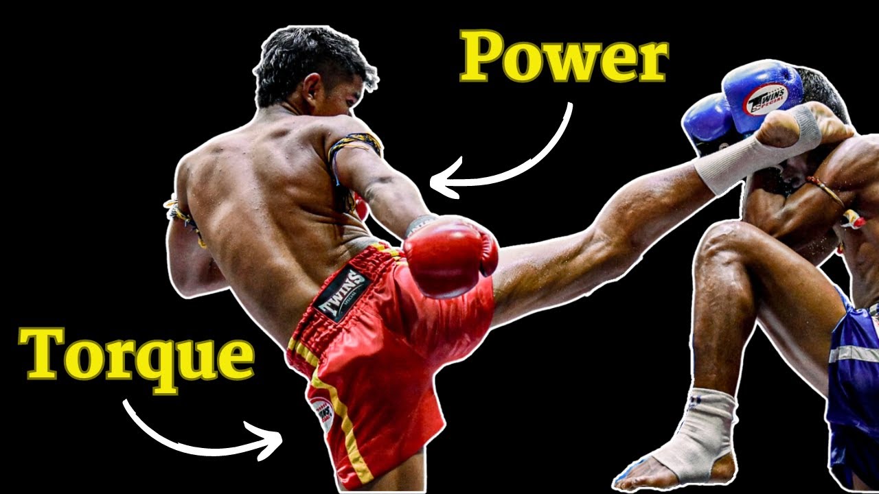 Biomechanical Analysis of the Roundhouse Kick