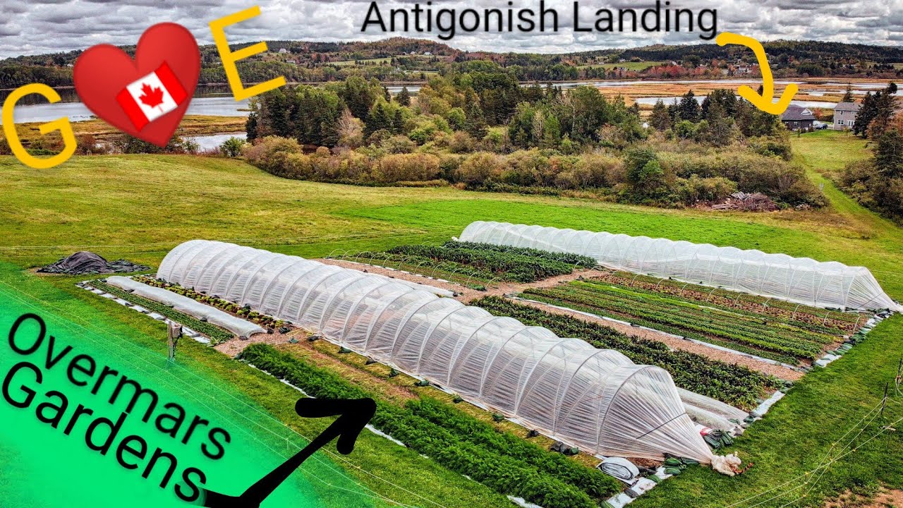 G❤️E 🇨🇦 Antigonish Landing + Overmars Gardens 🥒🥕🍅🥗