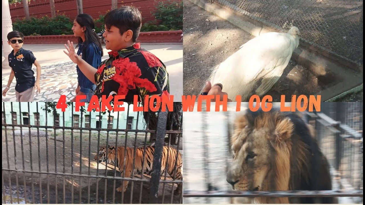 sakkarbaug with animals PART 2  #kotechavlogs