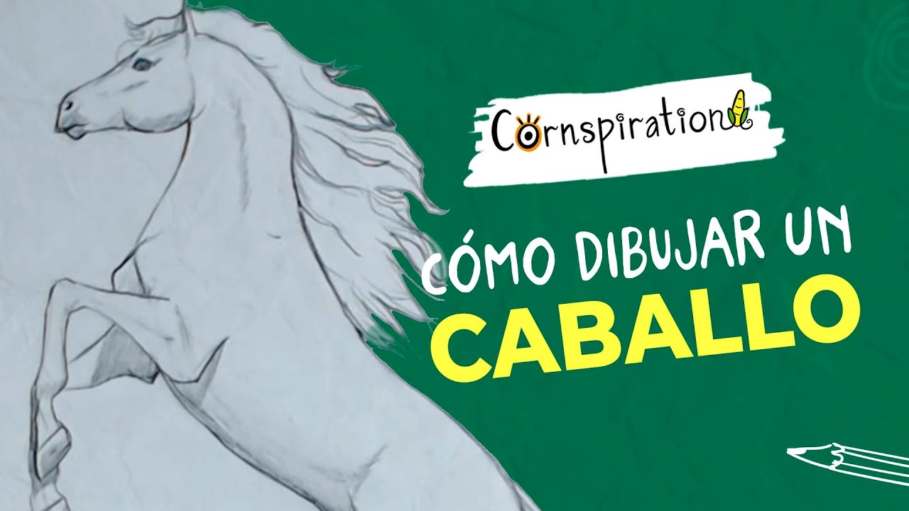Cómo dibujar un Caballo 🐎 Paso a paso