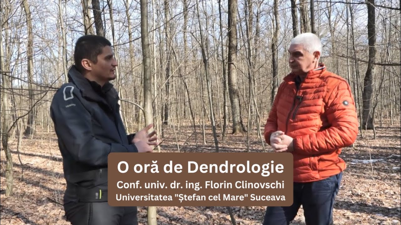 O oră de Dendrologie