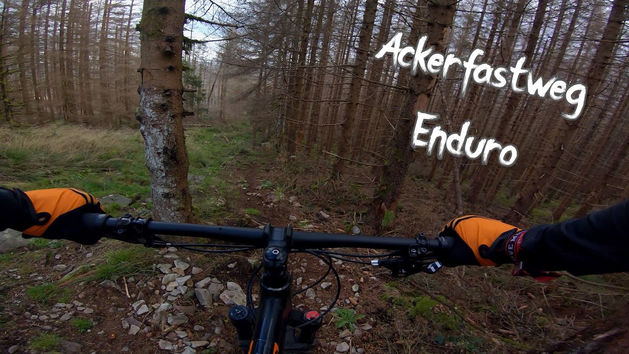 Enduro Trails | Harz | Enduro MTB