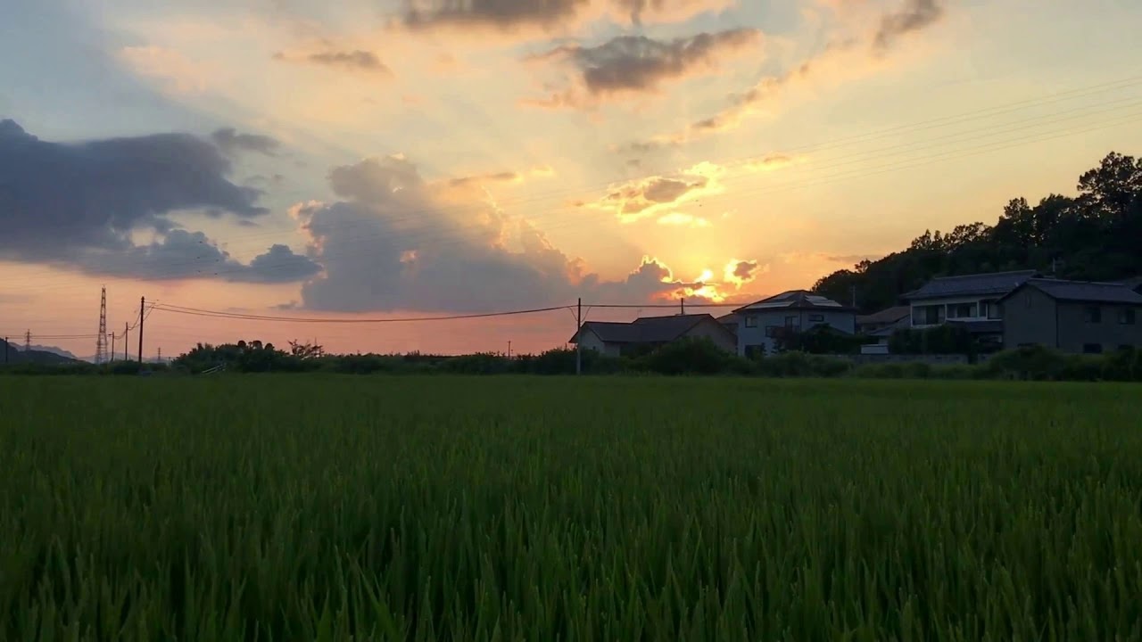 Tatsuro Yamashita - Come Along, but it's a summer evening in 80's Japan