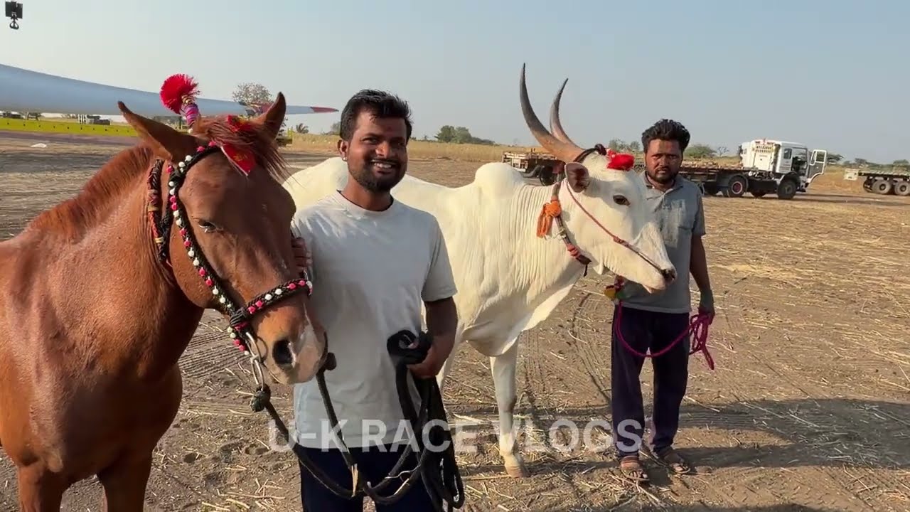 ರತ್ನಾಪುರ ಮಡ್ಡಿ ಮೈದಾನ | 2 ಘಟ್ಟ ಮೈದಾನ | Ratnapura horse & bull race 