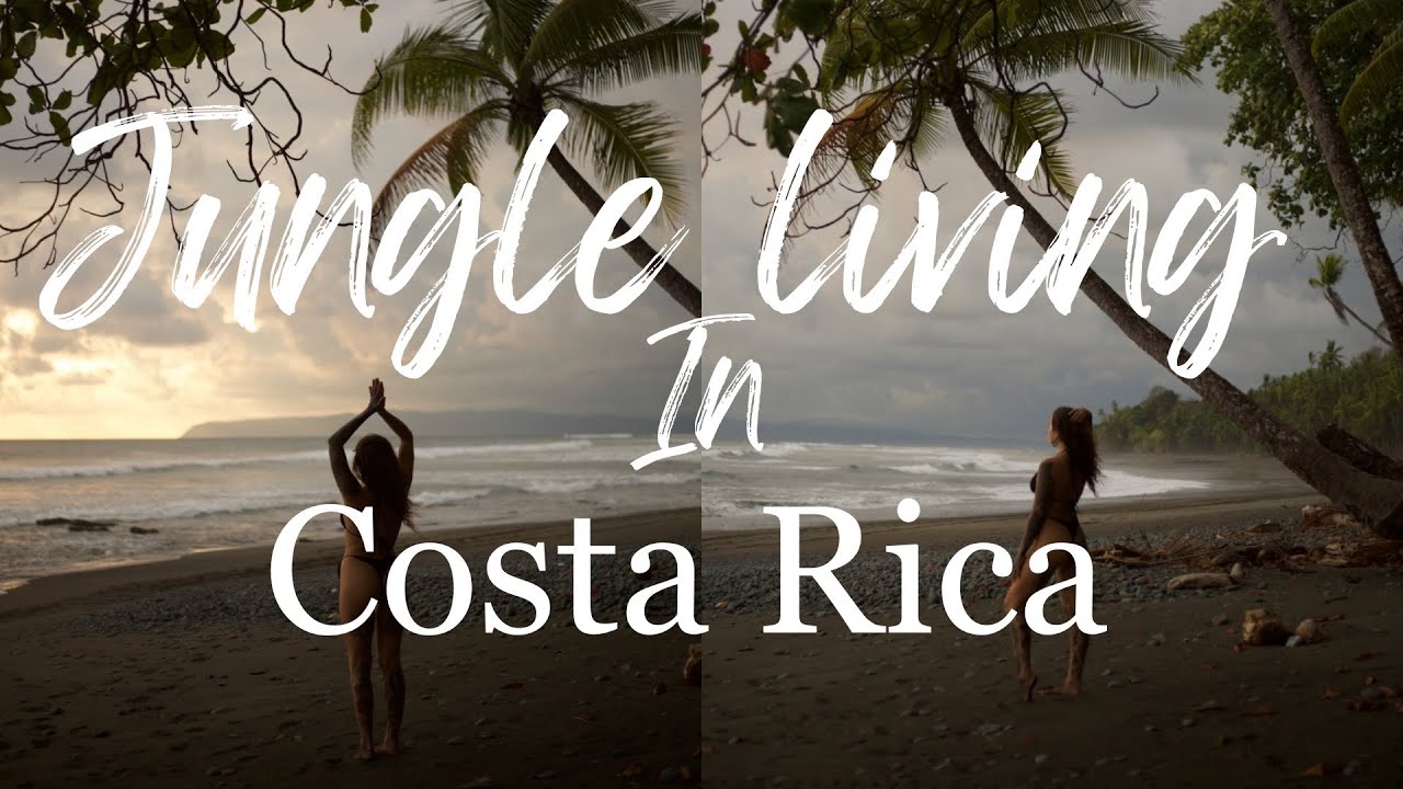 Punta Banco Costa Rica | Jungle living