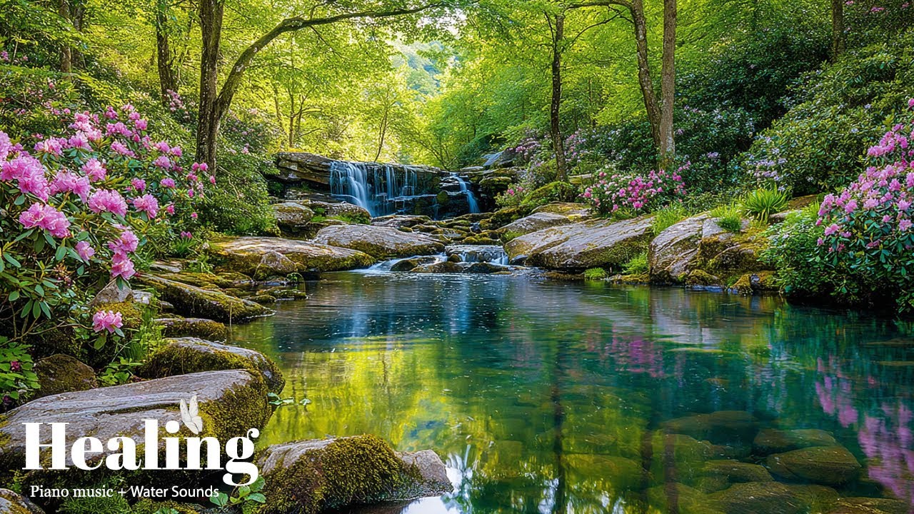 Nature’s Calm Embrace & Soft Melodies 🍃 Restore Inner Peace, Reduce Anxiety & Sleep Soundly