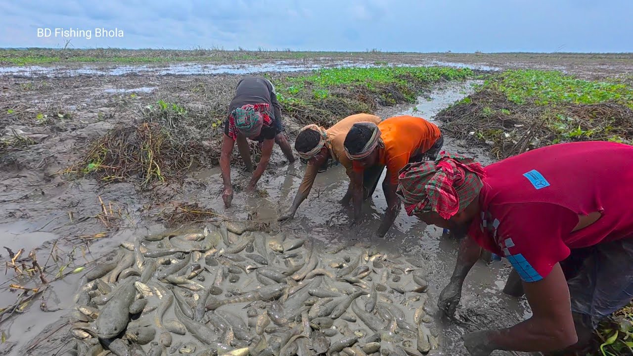 চরে বহমান খালের মাথা সেচ দিয়ে কি পরিমান মাছ পেল দেখুন || Amazing Canal Fishing Video 