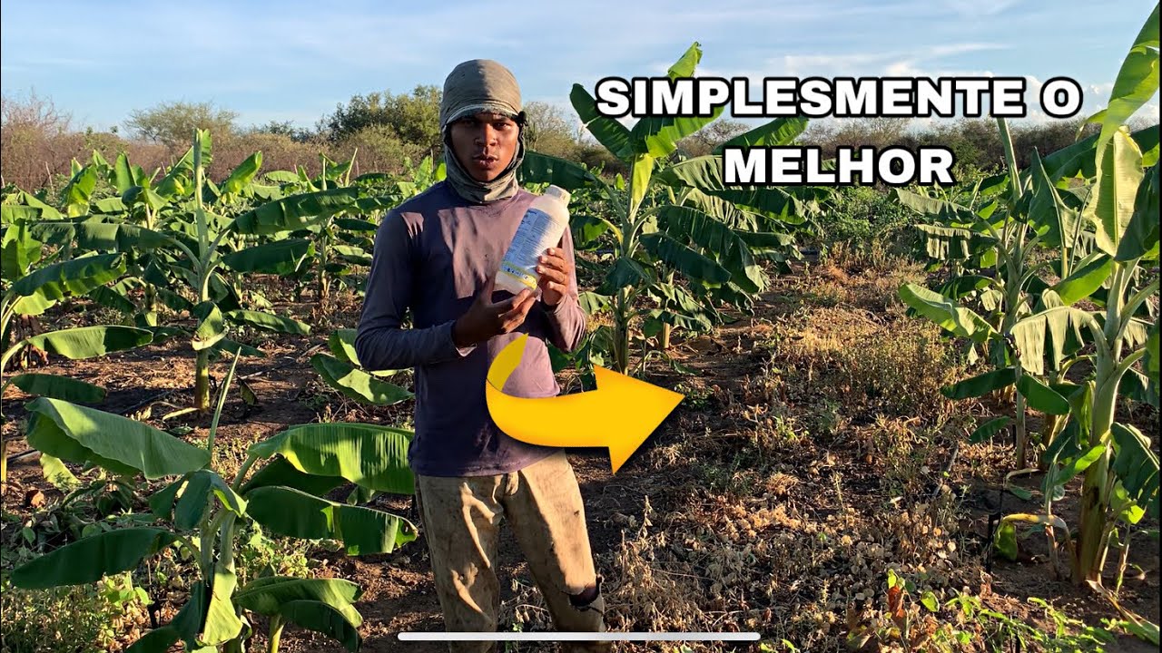 O MELHOR HERBICIDA PARA CONTROLE DO MATO DE SUAS LAVOURAS 