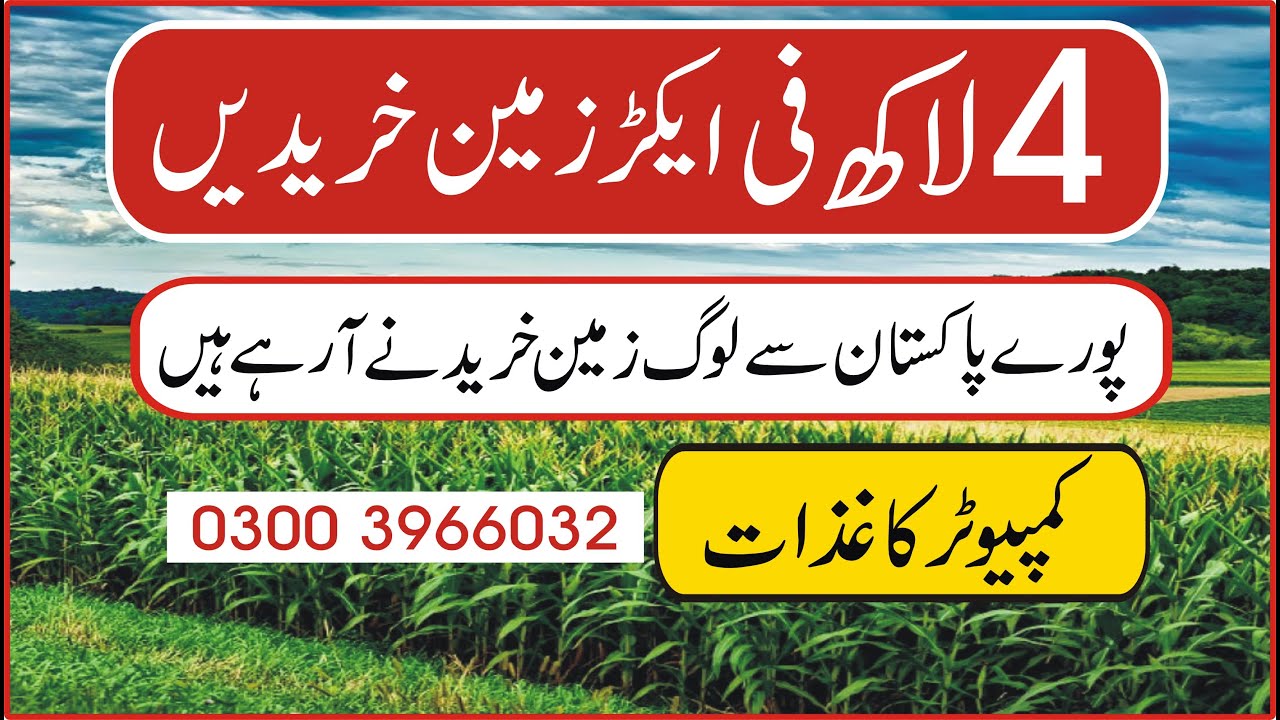 فی ایکڑ زمین 4 لاکھ میںLand for sale CheapLand for sale| Agricultureland for sale| Thalland for sale