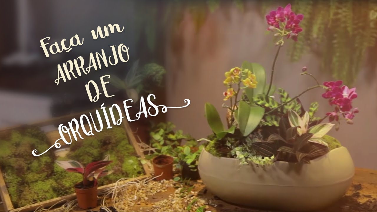 FAÇA você mesmo: ARRANJO de ORQUÍDEAS para CASA