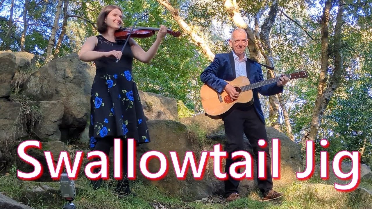 Swallowtail Jig #folkmusic #irishmusic #fiddle