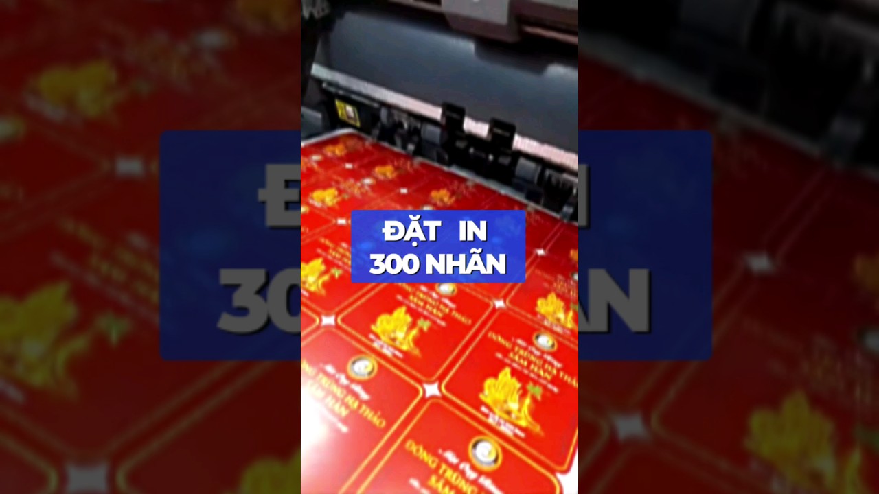 Đặt in 300 nh&atilde;n #dongtrunghathao #matongrung #sticker #intemnhan #decal #viral #ASMR #natuhai #store