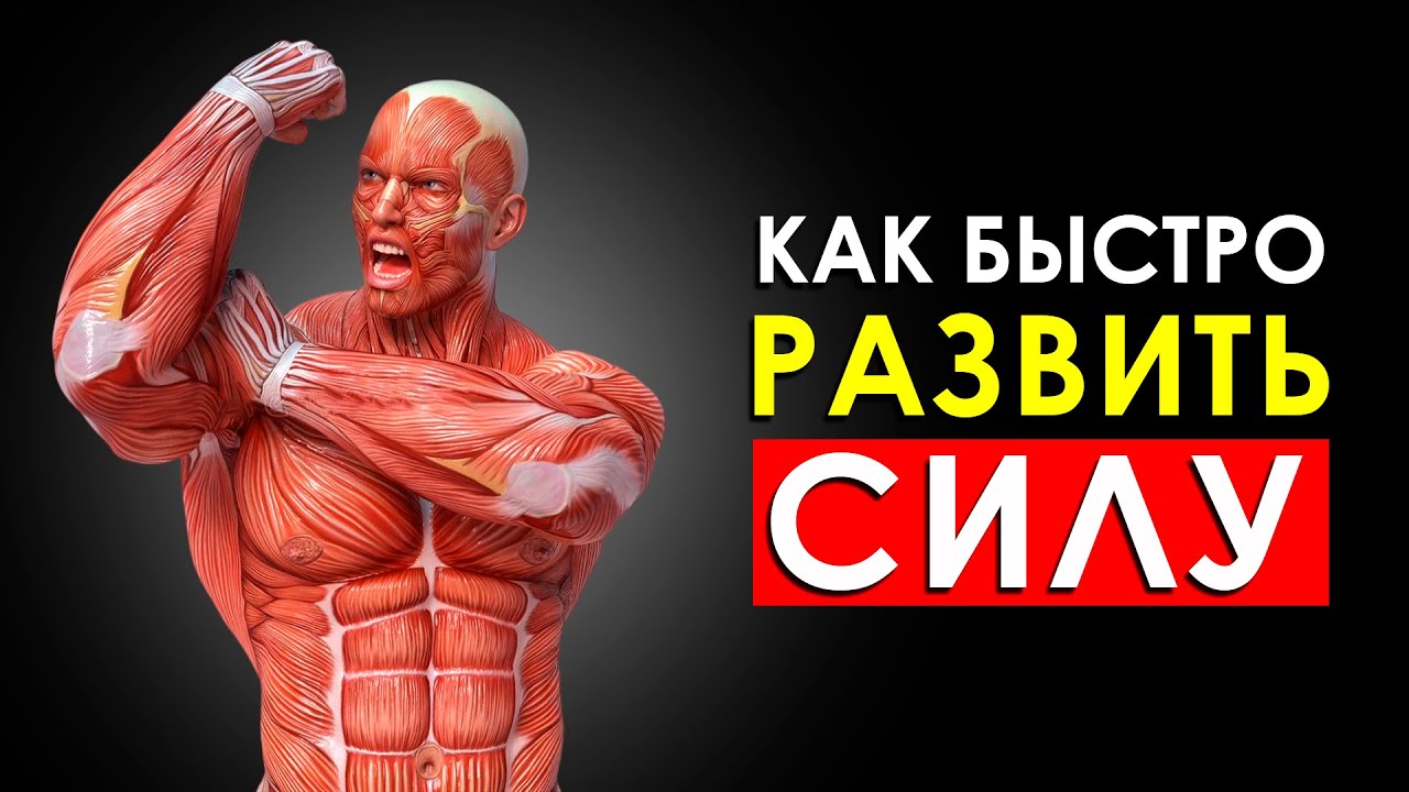 Как Быстро Развить Мышечную Силу (Лучшие Упражнения На Силу)