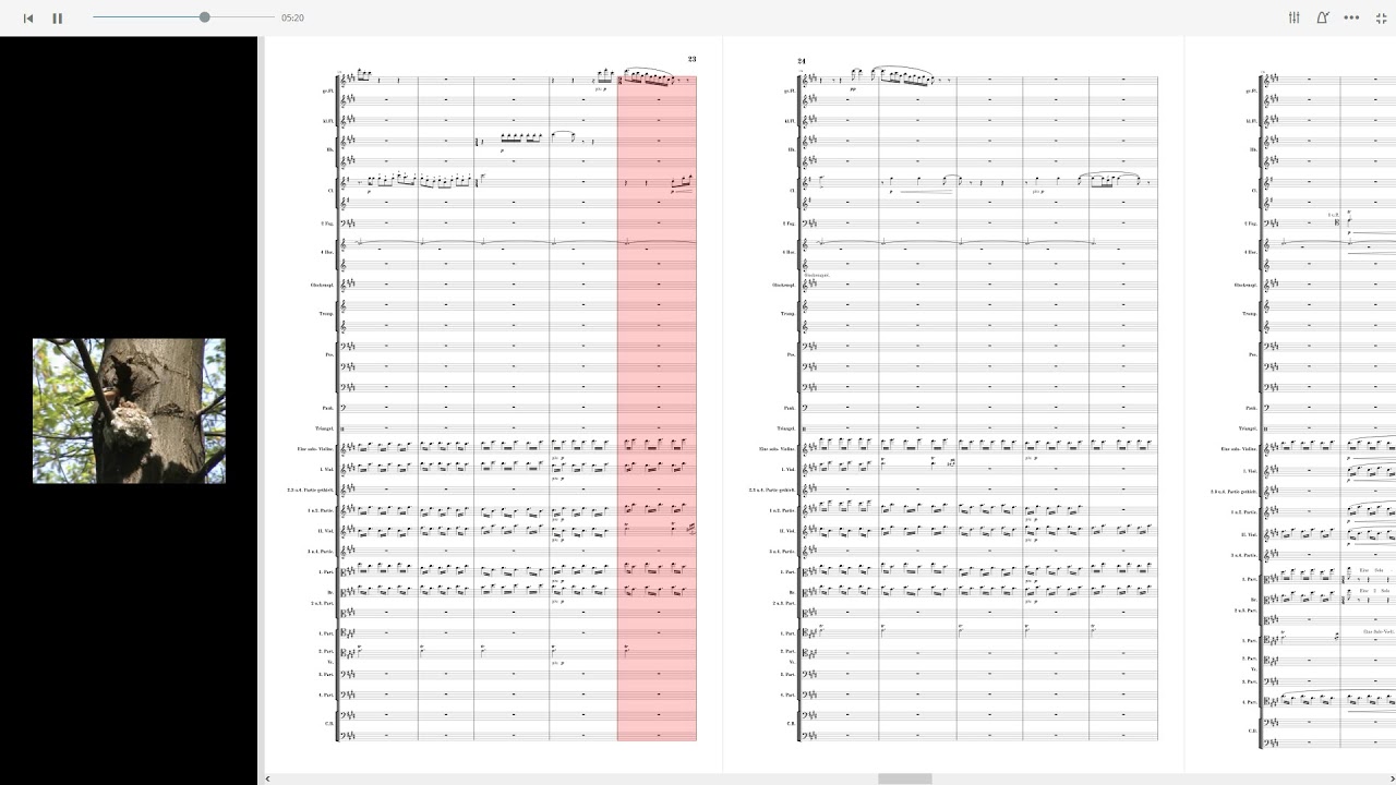 FOREST MURMURS by Richard Wagner (Audio + Full Score)