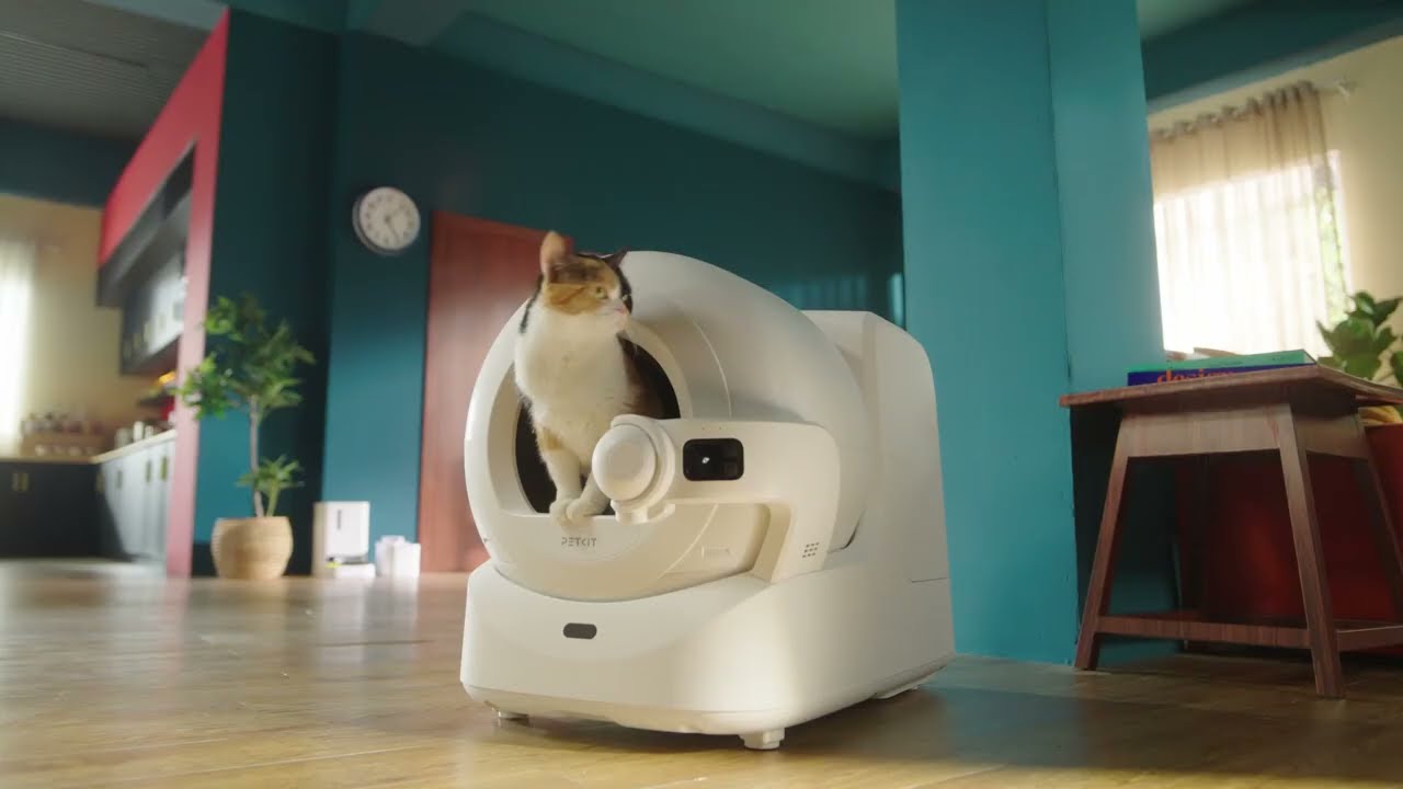 PETKIT Purobot Ultra - wideo prezentujące samoczyszczącą się kuwetę z kamerą i AI.