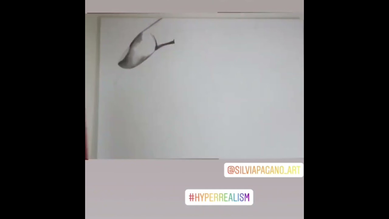 All you own - pencil on paper - timelapse video -  hyperrealistic drawing - Silvia Pagano Art