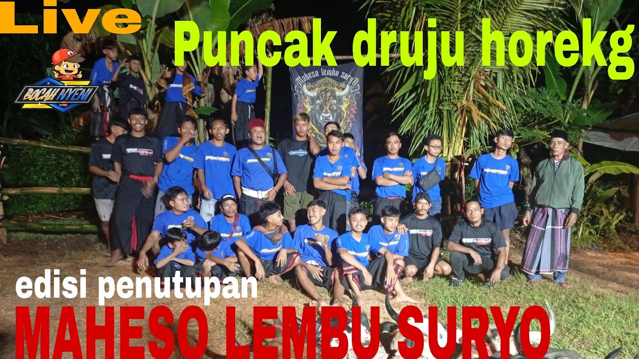 Live hari ini..bantengan LEMBU SURYO edisi druju sumawe