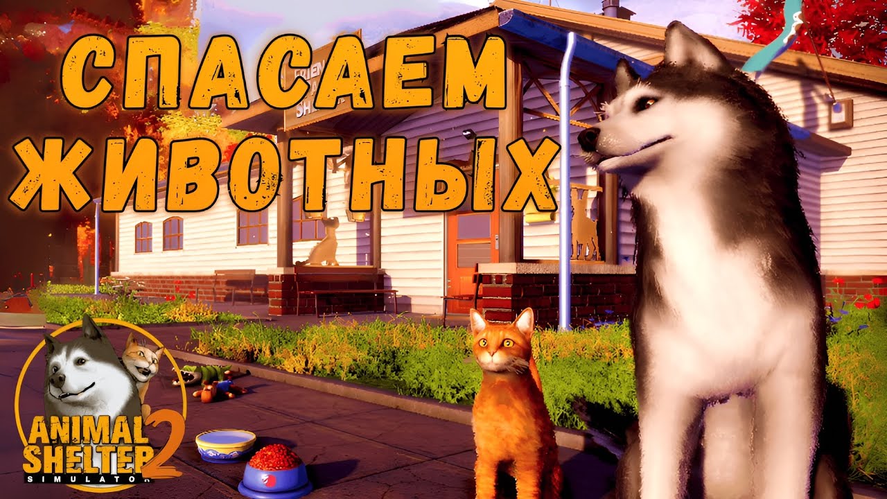 ОТКРЫВАЮ ПРИЮТ ДЛЯ ЖИВОТНЫХ | Animal Shelter 2 | Первичный осмотр