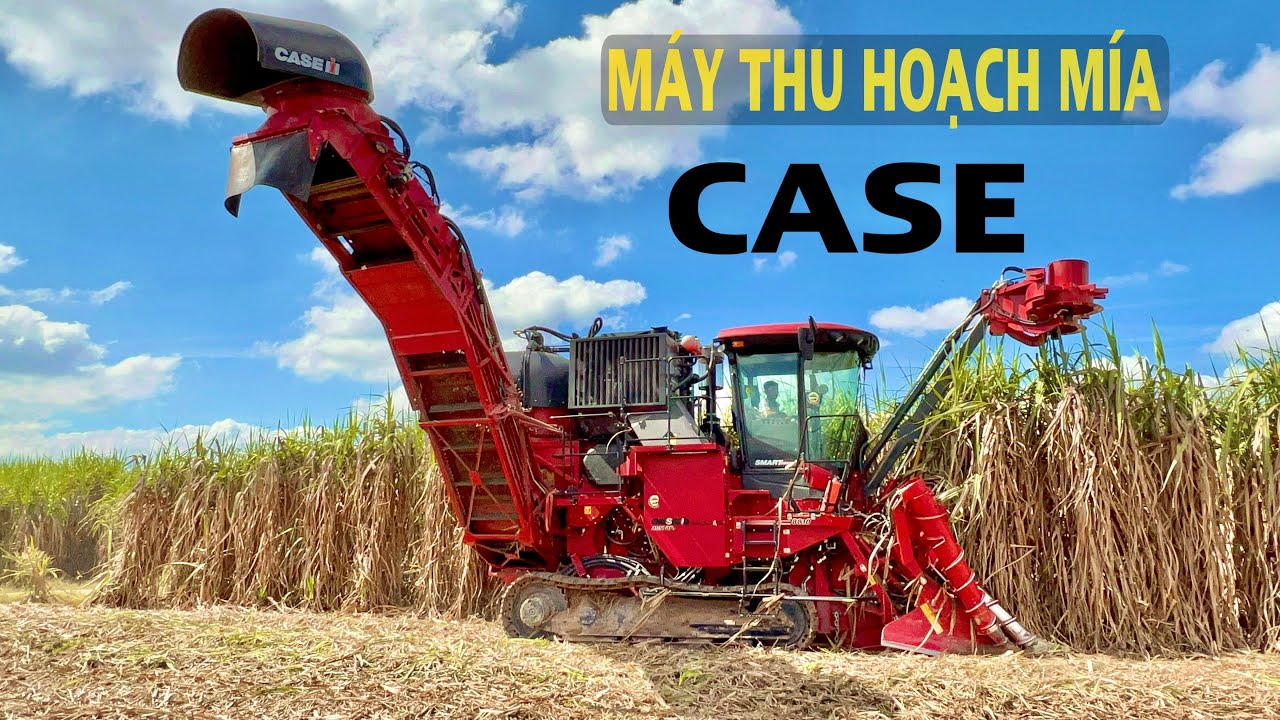 Máy Thu Hoạch Mía Hiện Đại Ở Tây Ninh, Máy Thu Hoạch Case Hàng Chục Tỷ Đồng, Thiện Vũ TV
