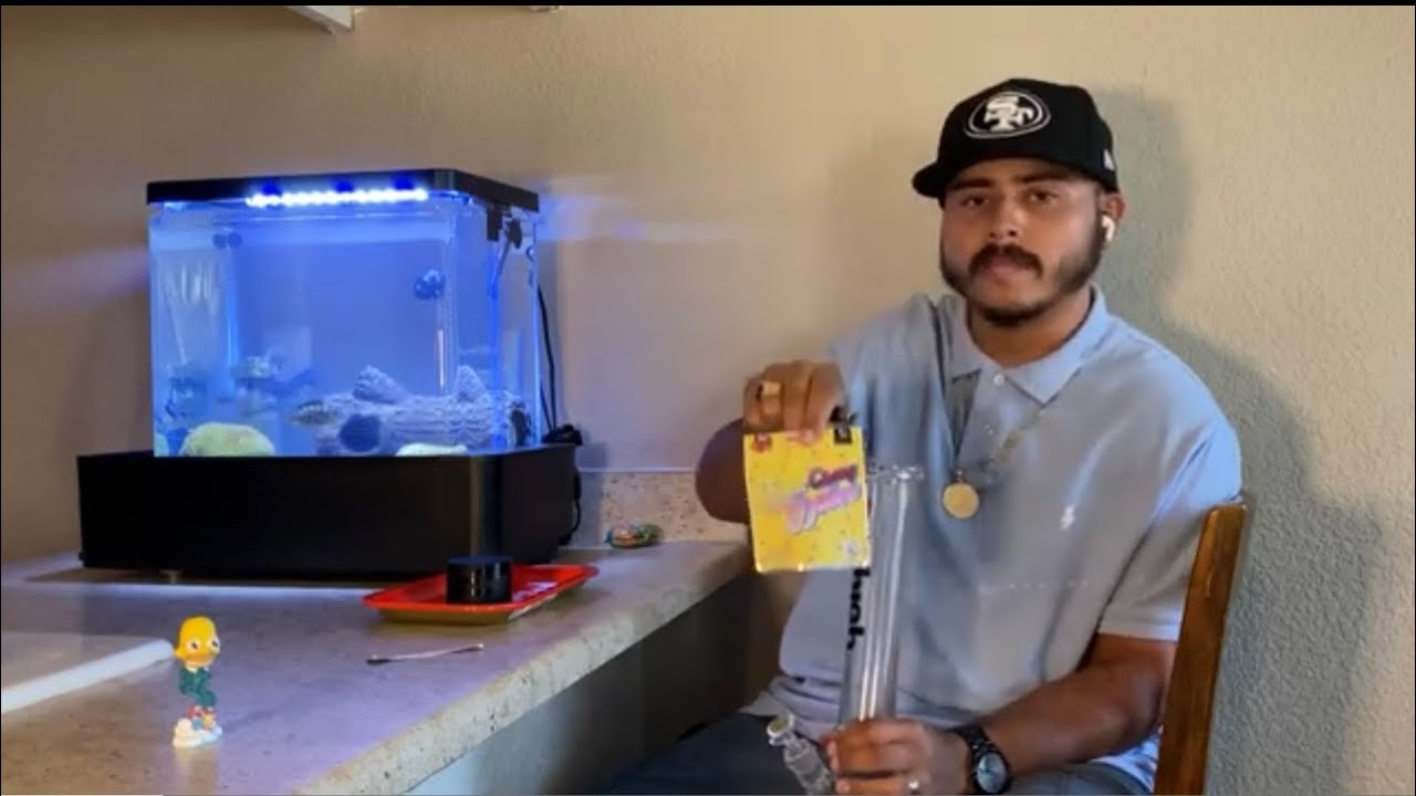 NEW BRAND & NEW STRAIN LEMON CHERRY DULCE BACKPACK BOYZ x CARTEL MONEY