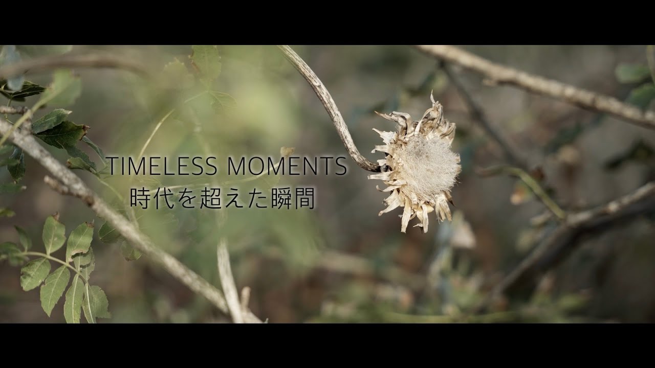 Timeless Moments  /  時代を超えた瞬間