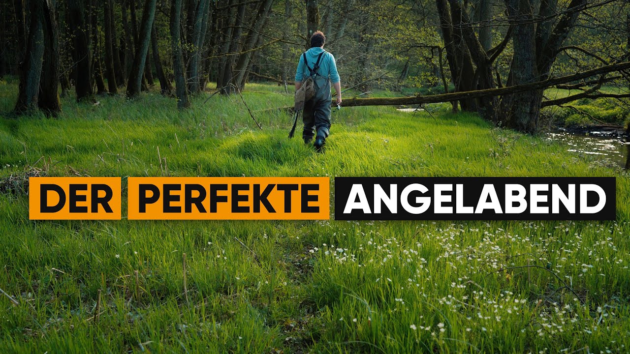 Traumhafter Angelabend mit BIBER!