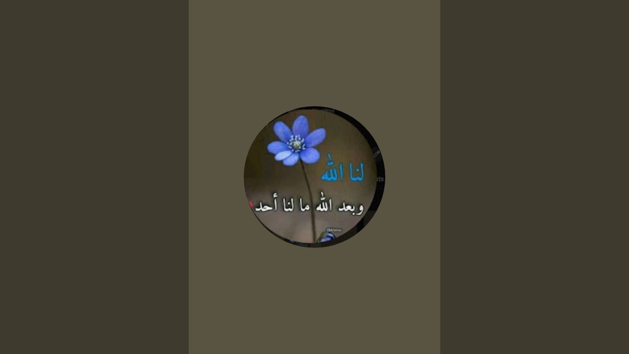 بدأت قناة "قناة ام ياسمين " بثًا مباشرًا