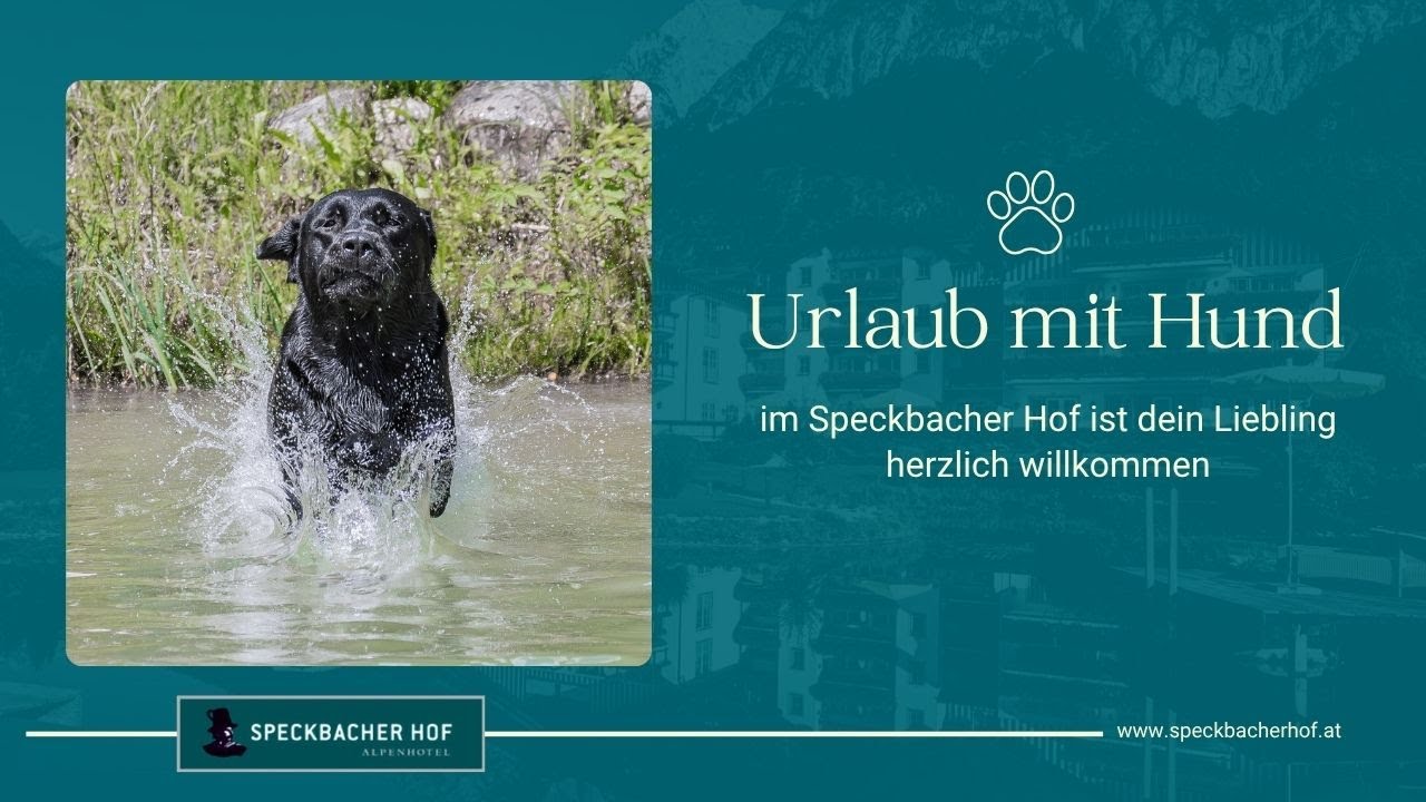 Urlaub mit Hund im Speckbacher Hof