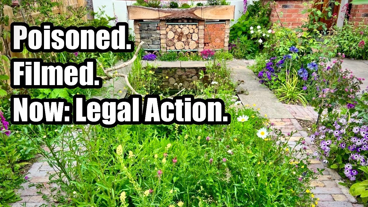 My Wildlife Garden Was DELIBERATELY POISONED!