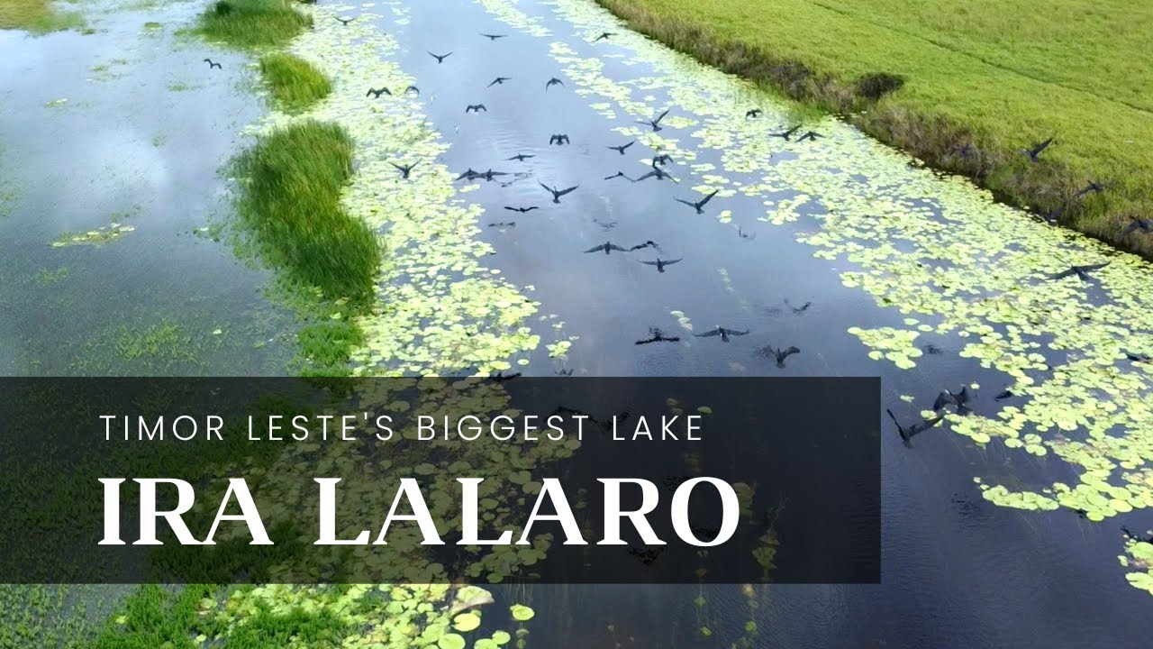 Ira Lalaro, Timor-Leste's Biggest Lake