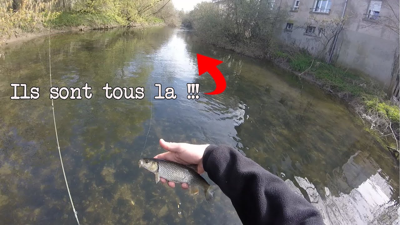 Une TECHNIQUE REDOUTABLE pour PECHER le CHEVESNE