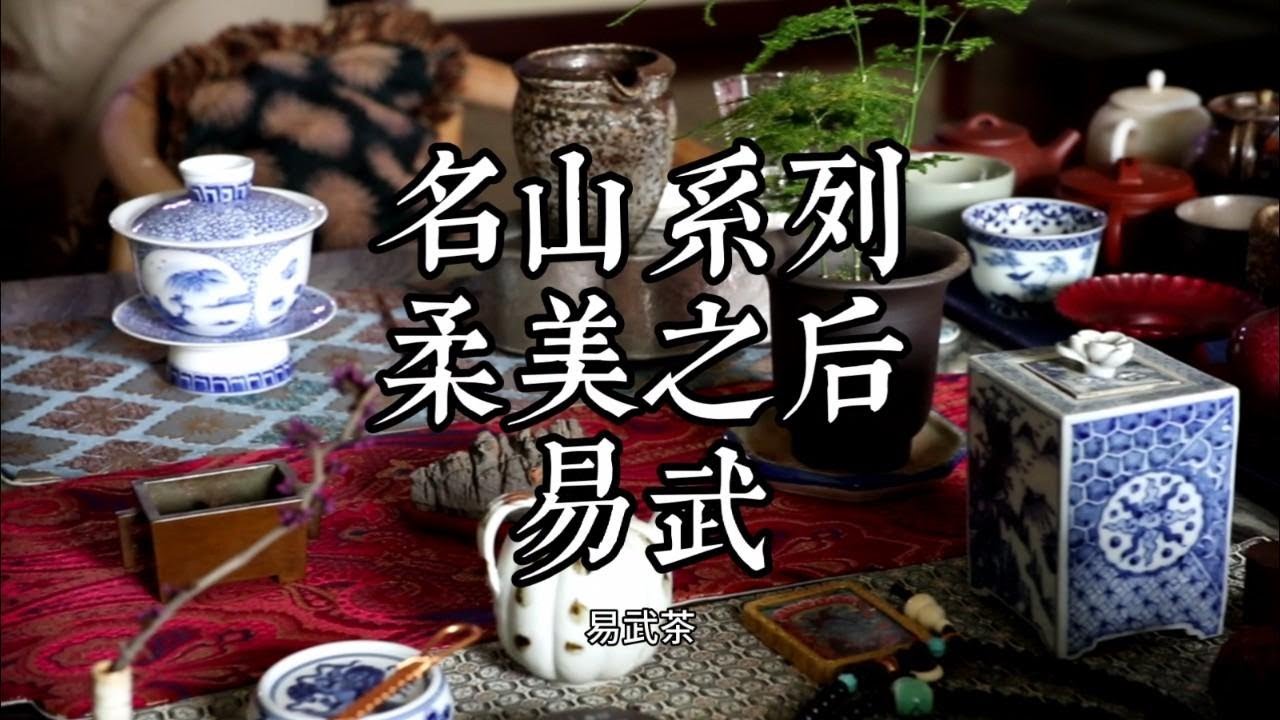 柔美甘甜的易武普洱茶，最適合的入門普洱茶。普洱茶名山名寨系列