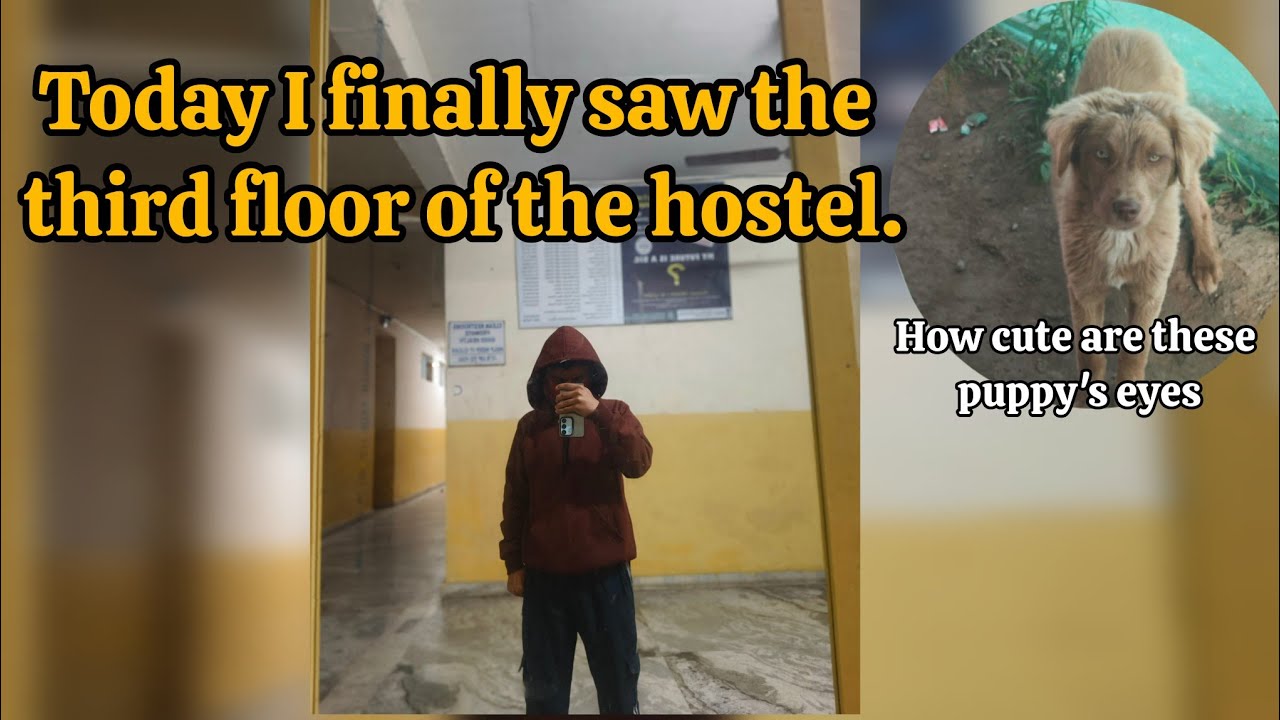 Hostel ka 3rd floor explore, a random puppy 🐶