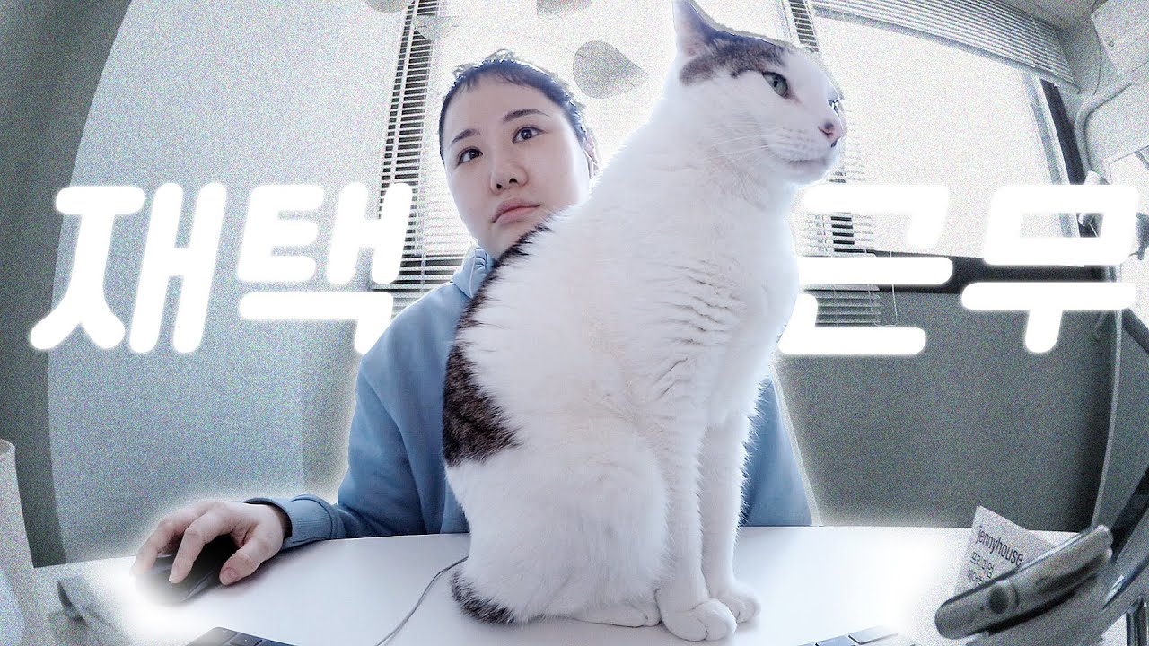 재택근무 운동 술 빙빙 돌아가는 직장인 브이로그 ㅣ 연맥 연태고량주 소주 술먹방 골뱅이탕 냉모밀 돈까스 두부강정 집밥 요리 토스트 중국음식 먹방브이로그