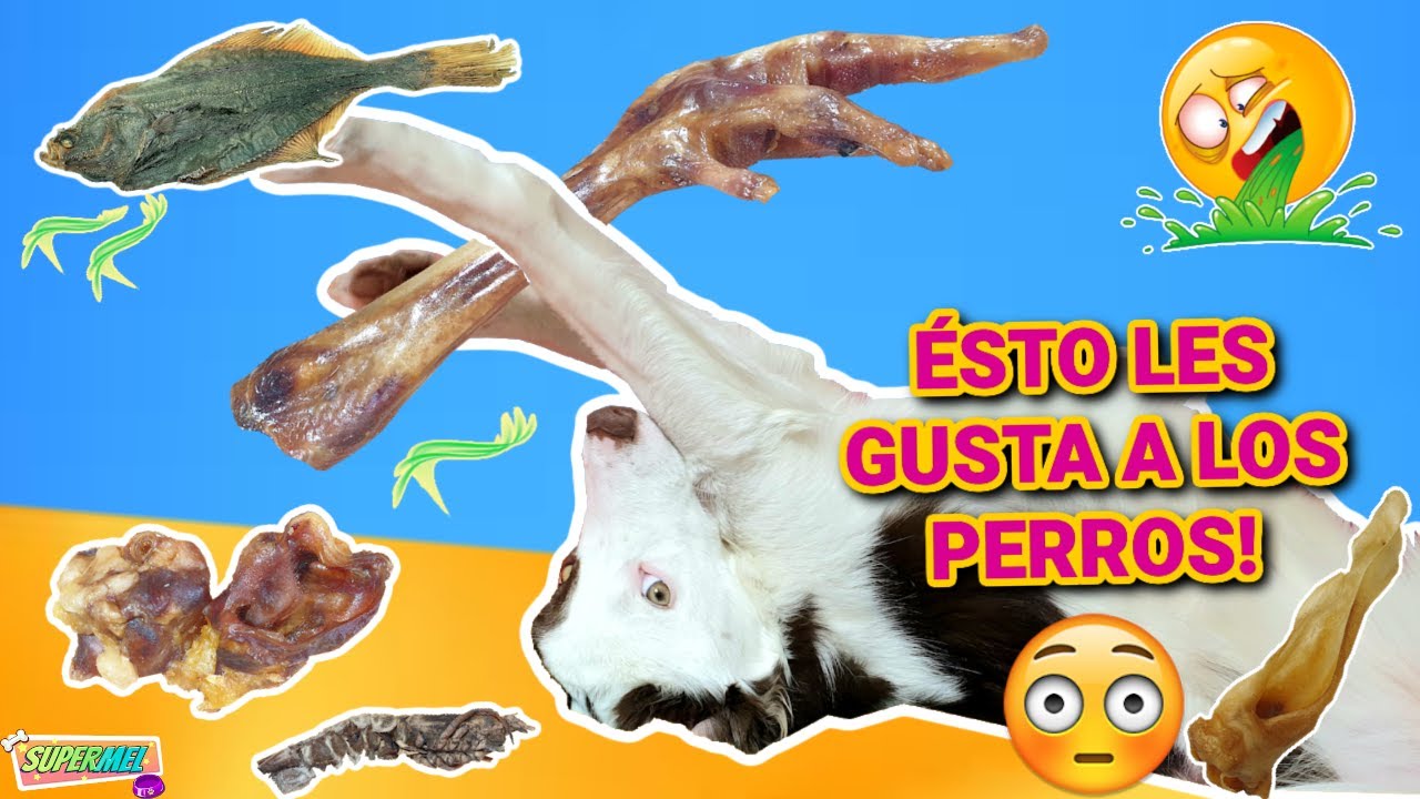 COMPRO los SNACKS más ASQUEROSOS para PERROS! Mel