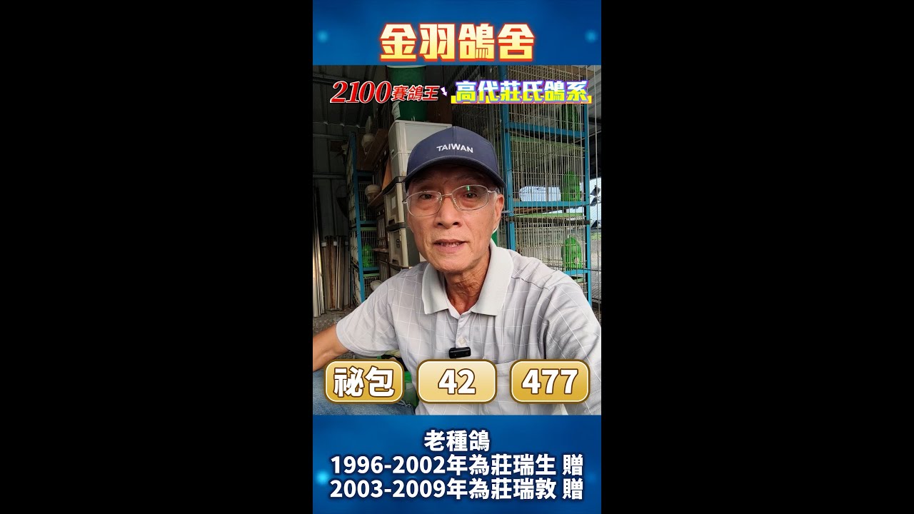 首次曝光【#金羽鴿舍】#莊瑞敦 前輩所賜，#高代莊氏鴿系 ｜#莊瑞生 #祕包 #42系 #477系 #必包 #莊氏鴿系 #強豪 #冠軍鴿 #種鴿 #養鴿 #賽鴿 #陸翔海翔 #冠軍 #2100賽鴿王