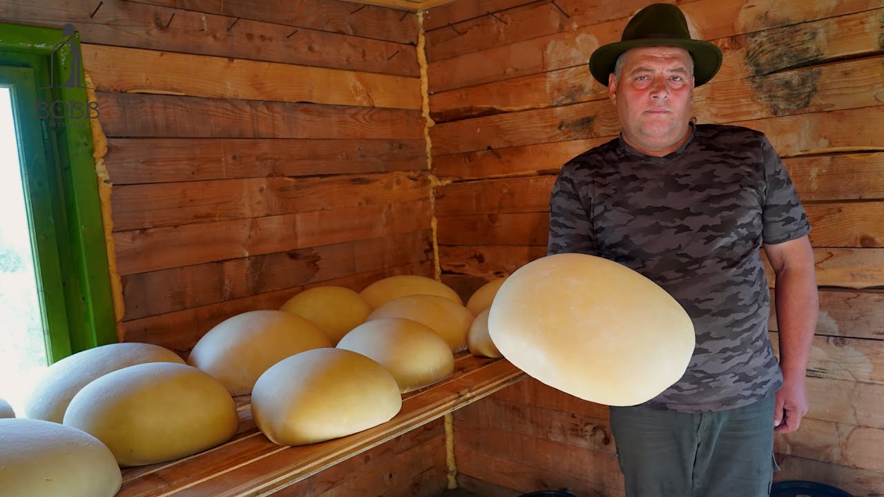 CUM SE FACE BRÂNZA TRADIȚIONALĂ ÎN MUNȚII RODNEI? BACI PLĂTIT CU 500 KG DE BRÂNZĂ | LUP ÎNDRĂZNEȚ