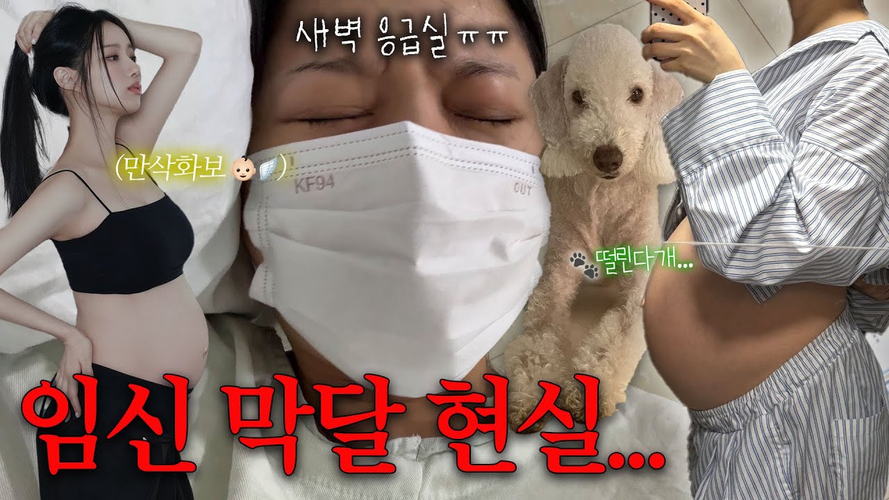 D-2👼🏻한 치 앞을 모르는 임신 막달 브이로그🤰🏻 | 만삭화보📸 • 공포의 내진 후기🩻 • 새벽 응급실행까쥐🚑