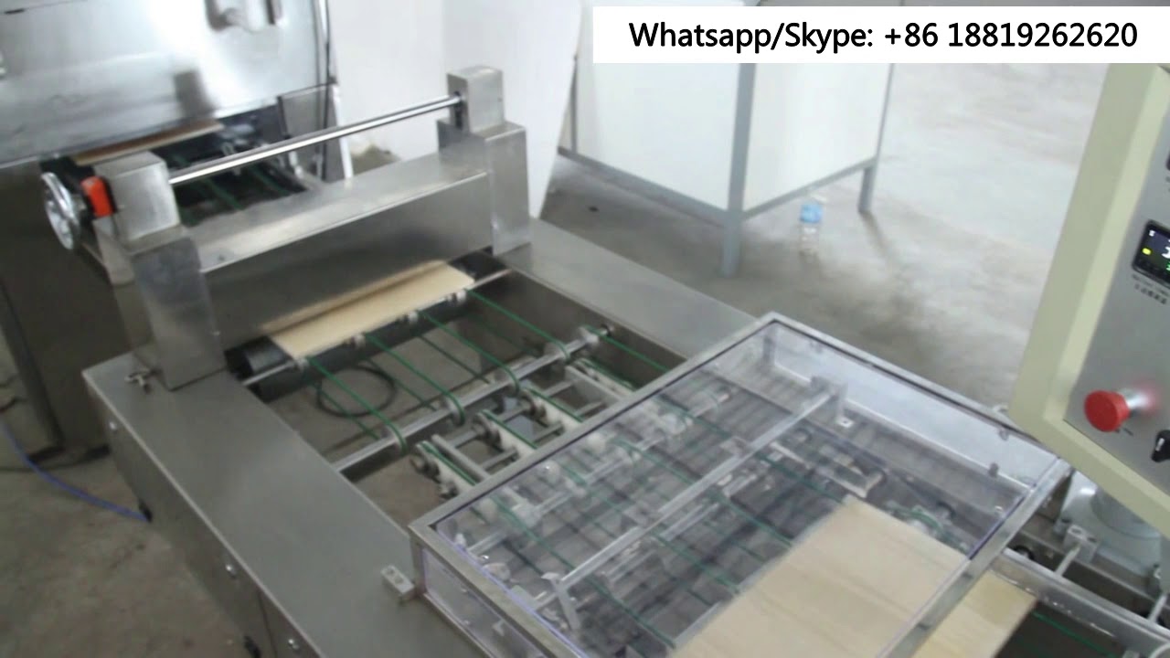 Skywin Wafer Biscuit Production Line with Packing