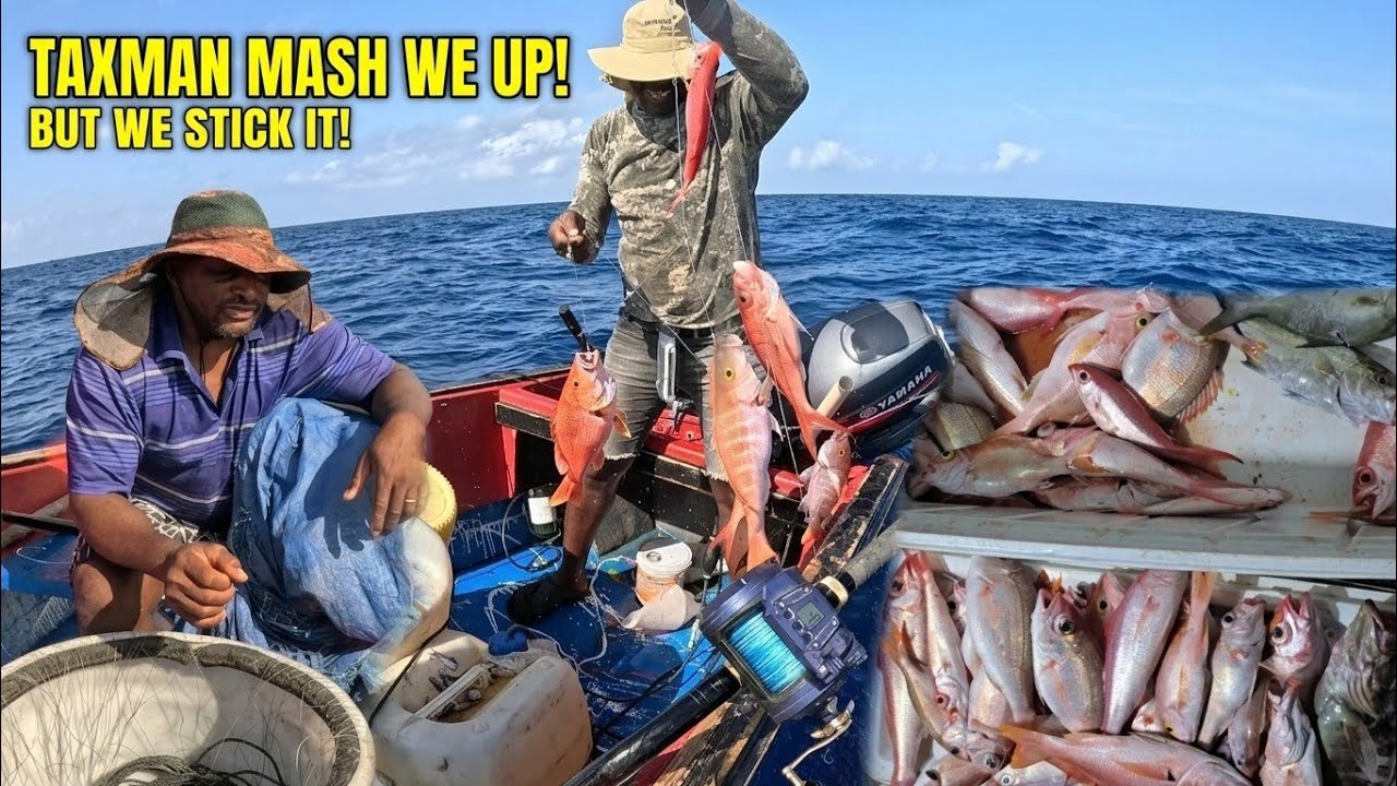 ​Big Snapper vs. Aggressive Sharks: First Longline Offshore Test