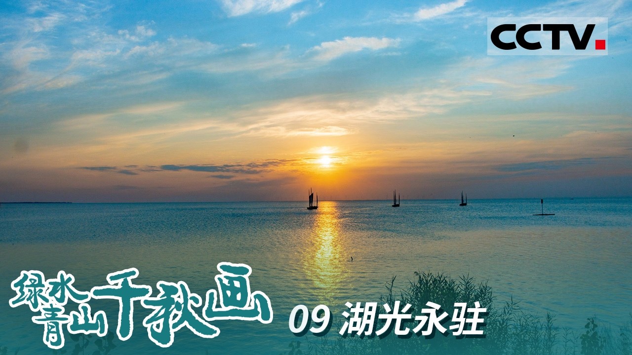 《绿水青山千秋画》09 湖光永驻：高邮湖巨变：780平方公里碧波荡漾 退圩还湖助力生态腾飞！【CCTV纪录】