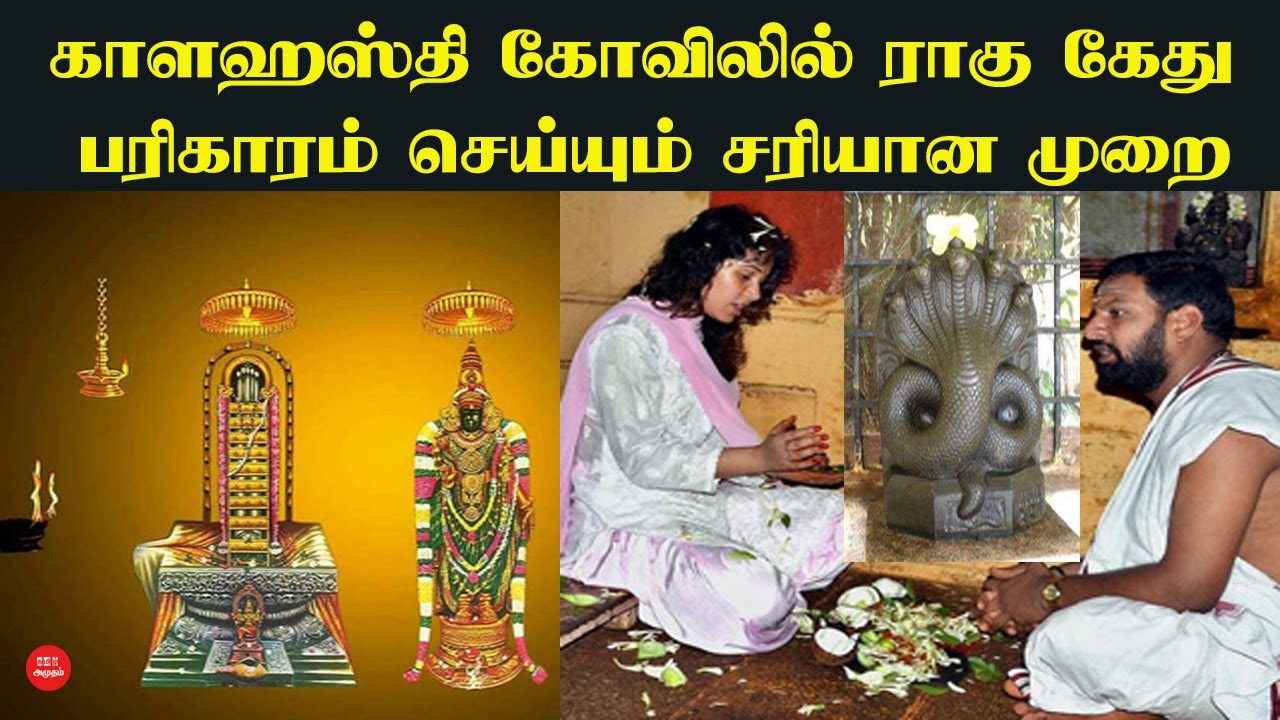காளஹஸ்தி கோவிலில் ராகு கேது பரிகாரம் செய்யும் சரியான முறை | kalahasti temple | ThiruMalai | Jothidam