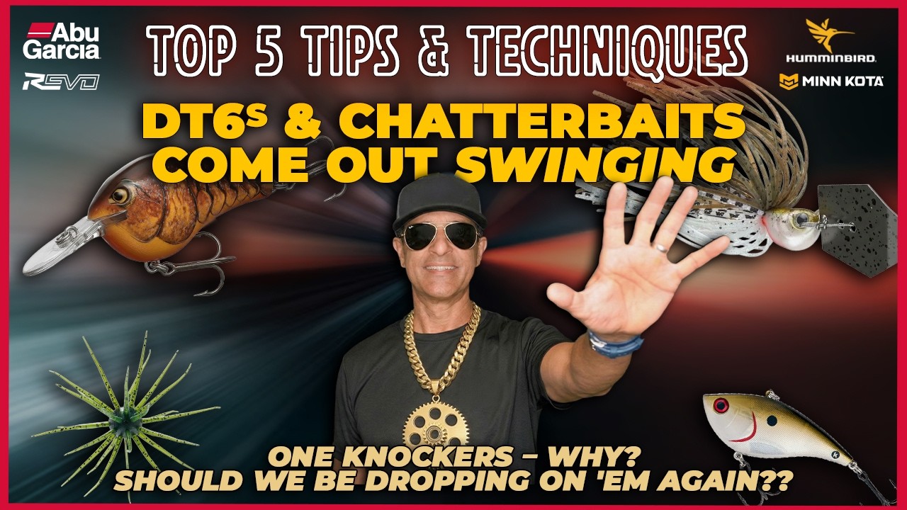 One Knockers, DT6s, ChatterBaits, Coikes vs dice - Top 5 Bass Fishing Trends!