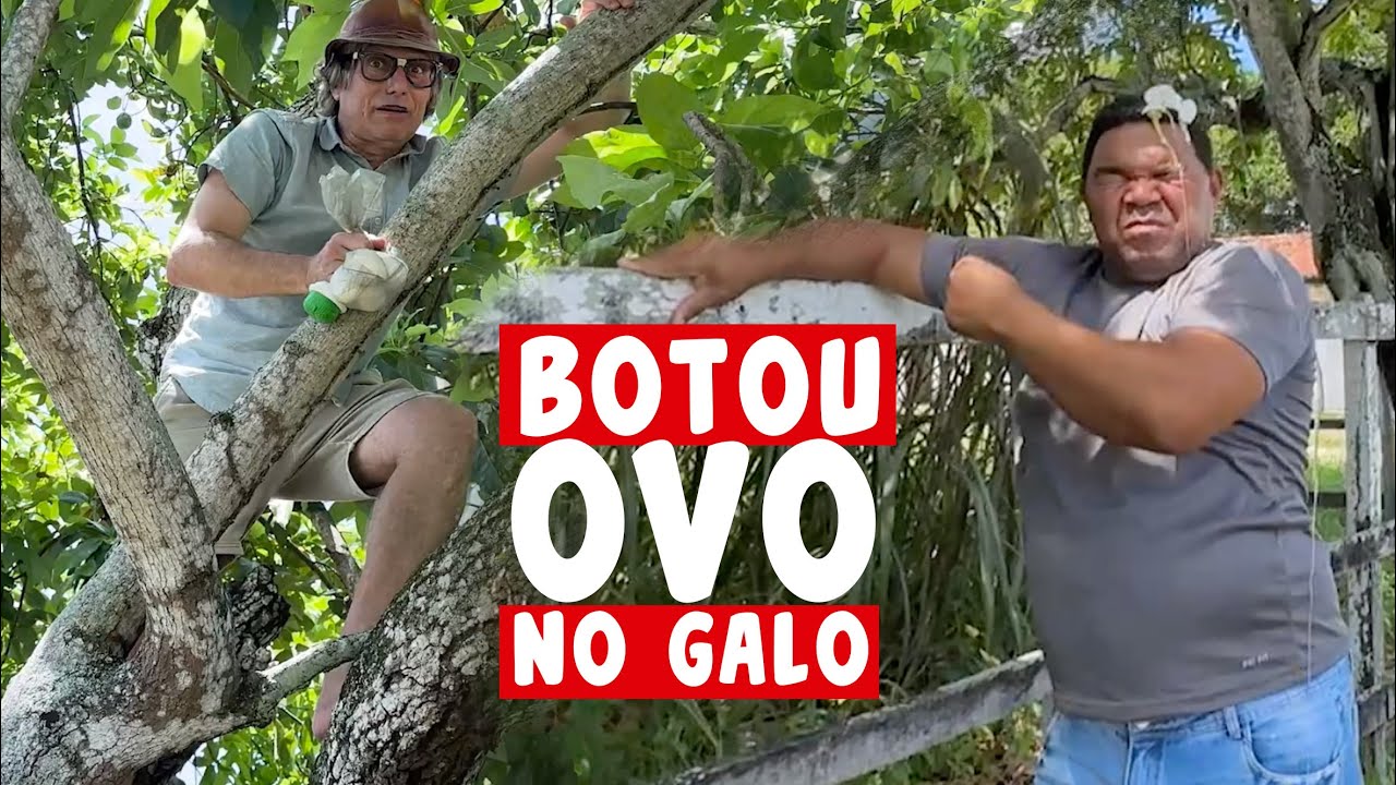 MUÇÃO VIRA POMBO E JOGA OVO NO GALO